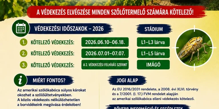 Plakát