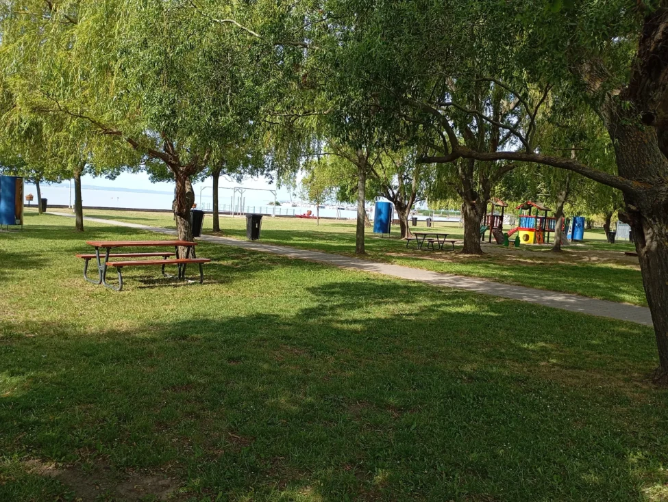 strand1